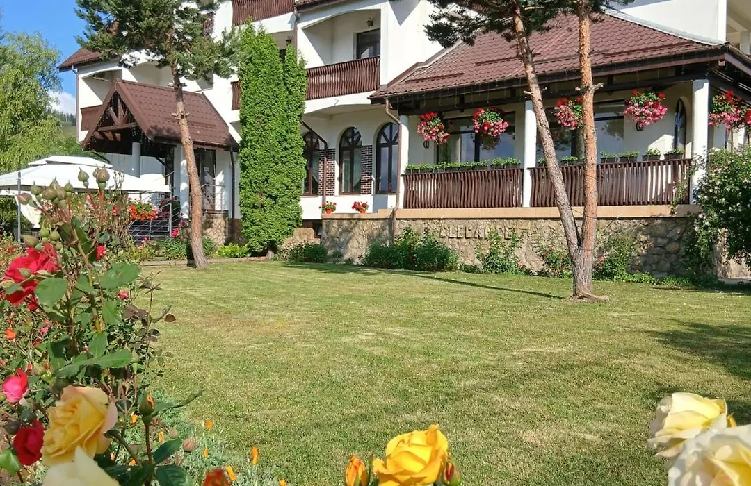 Pension Elegance-1